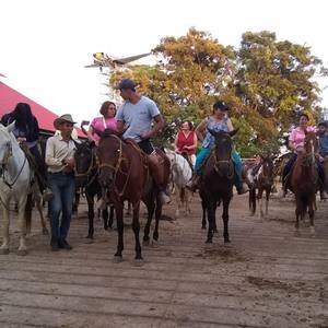 Meet your Posher, Ingrid